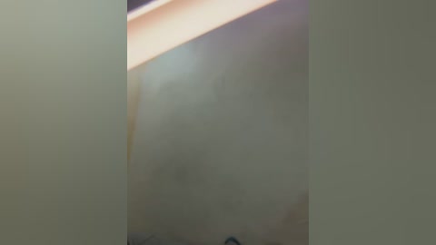 Media: Video of a beige wall with a shadowy, indistinct figure partially obscured by the lighting. The image is slightly blurred, making the subject difficult to identify.