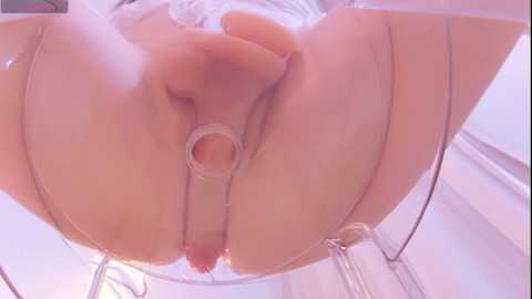 Video of a close-up, high-angle view of a nude woman's vulva, wearing a clear plastic harness, set against a white, possibly bathroom background.