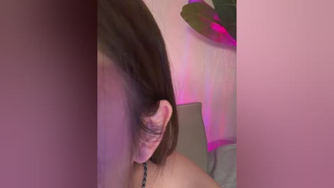 _wetsand_ free recording from 