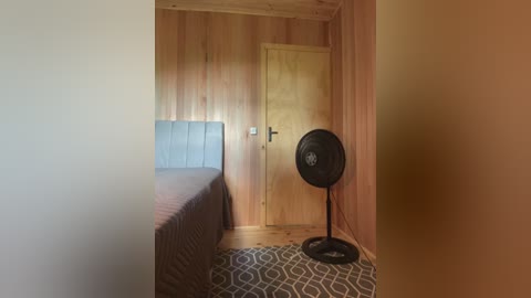Video of a minimalist bedroom with light wood-paneled walls, a gray bed with a tufted headboard, a patterned rug, and a black oscillating fan.