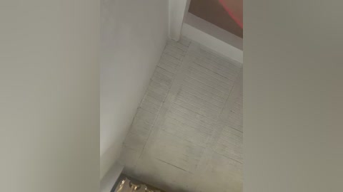 Video of a narrow, white-walled hallway with light gray, textured linoleum flooring and a red-painted doorframe in the background. The scene appears dimly lit.