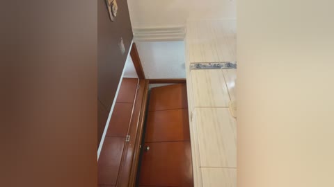 Video of a narrow, beige-tiled bathroom with a brown wooden door, a beige wall, and a small window, showing a minimalist, clean design.