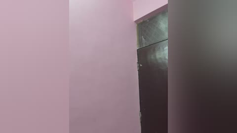 Video of a minimalist hallway with pastel pink walls and a dark, glossy wooden door with a frosted glass panel. The lighting is soft, casting gentle shadows.