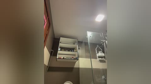 Video of a modern, minimalist bathroom with beige and gray tiled walls, a white toilet, a glass shower, and a mirrored medicine cabinet.