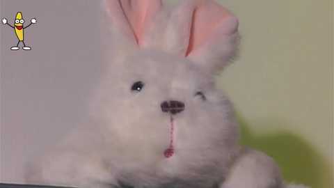 edlinhargus free recording from 2026-02-02 02:10:00