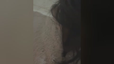 A dimly lit video shows a dark, shadowy figure standing on a rough, rocky ground. The figure appears to be crouching, casting a long, dark shadow. The background is a muted, earthy color.