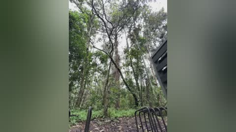 alana15 free recording from 2026-02-03 00:30:00