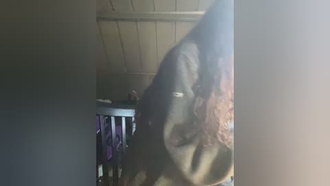 badbaby187 free recording from 2026-02-03 00:30:00