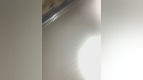 creamy_bitchxxx free recording from 2026-02-03 00:33:00