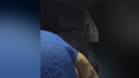 Media: A video captures the interior of a vehicle, focusing on a plush blue and yellow stuffed toy positioned on the back seat. The image is dimly lit, with shadows and a gradient blue background suggesting a night scene.