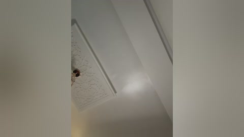 A video capturing a close-up of a white ceiling with a small, circular, textured vent, emitting a soft light. The image has a minimalist, modern aesthetic with clean lines and neutral tones.