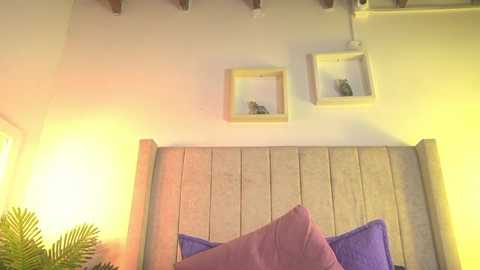 Video of a cozy bedroom corner featuring a light wooden headboard with two purple pillows, a yellow wall with framed art, and a green plant on the left.