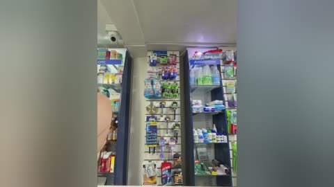 roouse free recording from 2026-02-03 00:33:00