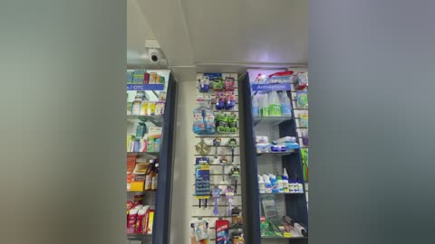 roouse free recording from 2026-02-03 00:33:00