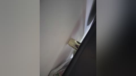 saorii_kiido free recording from 2026-02-03 00:33:00