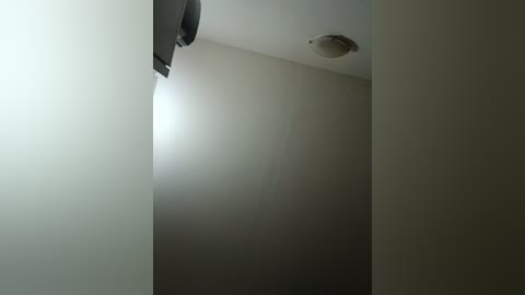 Media: Video of a dimly lit, bare room with beige walls. A single, small, white ceiling light fixture with a round, translucent shade is visible. The room has a minimalistic, utilitarian feel with no furniture or decorations.