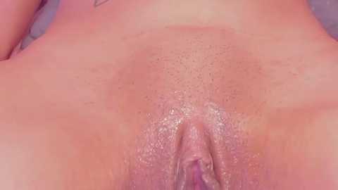 Close-up video of a woman's shaved vulva with light skin tone, visible labia minora and clitoral hood, taken from a reclined position.