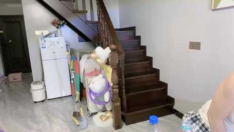 Video of a cluttered, narrow staircase with wooden banister, a white refrigerator, and a white trash can, partially obscured by a purple stuffed toy and cleaning supplies.
