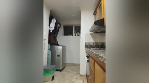 Media: Video of a narrow, cluttered laundry room with a stainless steel washer and dryer, a green bucket, and a white trash can. Wooden cabinets and a granite countertop line the right wall.