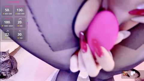 abiutmm free recording from 2026-02-04 00:36:00