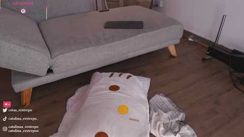 A video of a grey sectional sofa with a black remote control on the cushion. A white pillow with yellow and brown circles is on the floor, with a folded grey shirt nearby.
