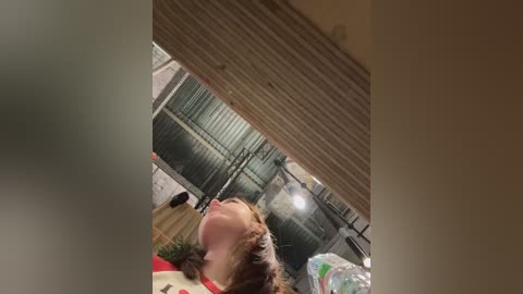 dina_tease free recording from 2026-02-04 00:36:00