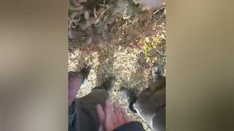 Media: A video showing two pairs of hiking boots and a hand at the bottom, surrounded by dry, brown grass and fallen leaves, suggesting an outdoor, possibly forested, setting.