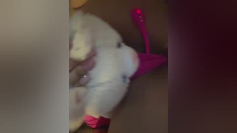 A blurry video shows a plush toy resembling a white cat with a pink bow on its head, lying on a brown surface, possibly a cardboard box.