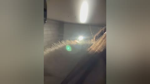 kristirich free recording from 2026-02-05 00:07:00