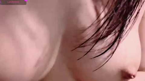 lt_333 free recording from 2026-02-05 00:21:00