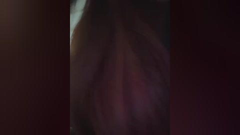 Media: A dimly lit, blurry video showing a person's shoulder and back in a dark room, with indistinct, shadowy features.