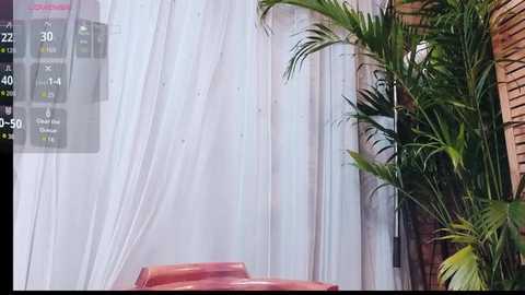 neinei_bao free recording from 2026-02-04 00:06:00