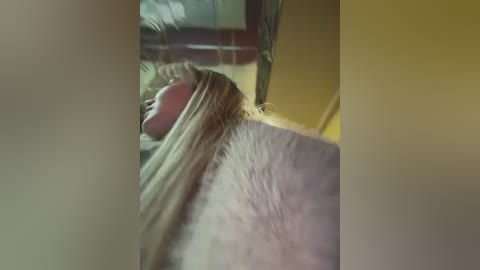 Video of a close-up side view of a person with light skin and long, straight blonde hair, partially covering their face. The background is blurred, featuring a yellow wall and a green plant.