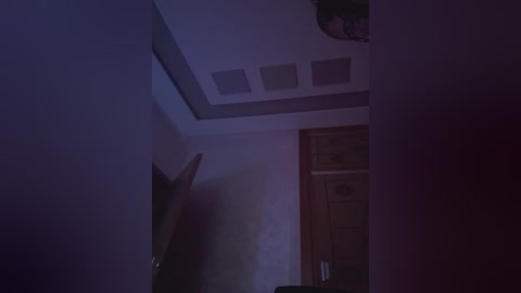 A dimly-lit, narrow hallway with white walls and a wooden door, featuring a small, circular ceiling light. A person's blurred silhouette is partially visible on the left side.