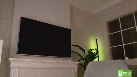 Media: Video of a modern living room with a large, flat-screen TV mounted on a white wainscoted wall. A potted plant with broad leaves stands next to a window with white-framed glass panes. Soft green lighting illuminates the room.