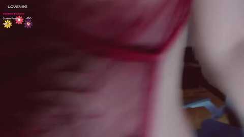 A blurred video of a close-up, intimate scene featuring a person's genital area, with red stains and a text overlay from \"Lavigne.\