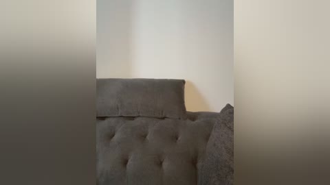 A video showing a tufted, gray fabric sofa against a light beige wall, with a shadowed area above the sofa, creating an intriguing, minimalist interior setting.