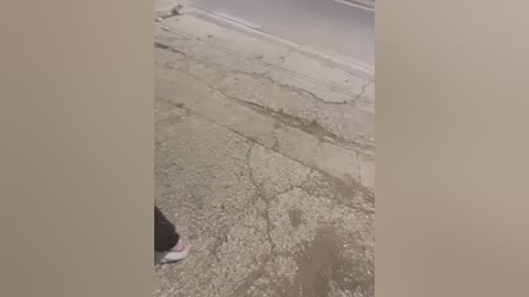 alyssafoxx_ free recording from 2026-02-05 01:56:00