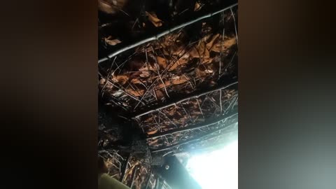 arpita_999 free recording from 2026-02-06 00:17:00