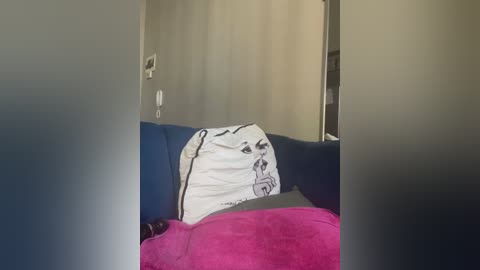 Video of a cozy, dimly-lit room with a blue couch, a white pillow with a black cartoon dog, and a pink blanket.