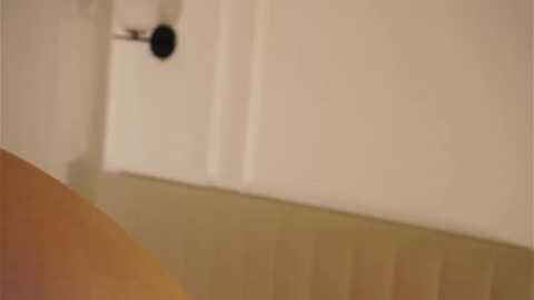 A blurry, low-resolution video shows a white door with a black knob, partially obscured by a wooden frame. The background is out of focus, suggesting a simple indoor setting with muted colors.