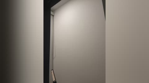 Video of a dimly lit, narrow hallway with off-white walls and a black doorway frame. A small, framed video hangs on the left wall, partially visible. The ambiance is somber and minimalistic.