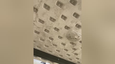 sara_calderon free recording from 