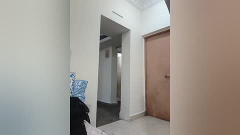 Video of a narrow hallway with white walls, a brown door, a blue-patterned pillow, and a dark garment on the floor, leading to an open doorway.