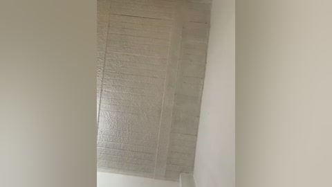 Video of a beige, textured ceiling with horizontal ribbed panels and a white wall, capturing a minimalist, utilitarian interior design style.