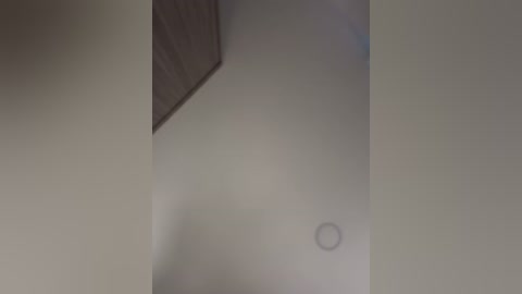 aryrosee free recording from 