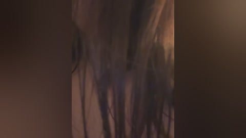 marcimaa free recording from 2026-02-06 01:00:00