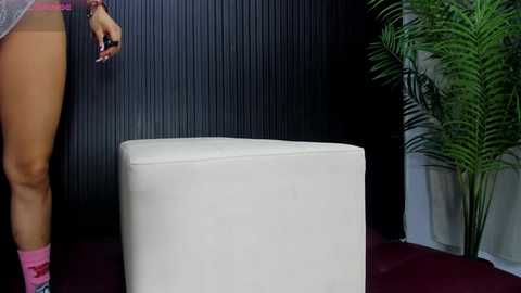 ruin_destruction free recording from 2026-02-06 01:00:00