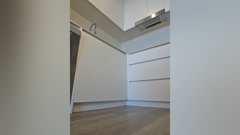 sashajade_ free recording from 2026-02-06 00:09:00