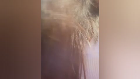 yourkeer free recording from 2026-02-06 00:17:00